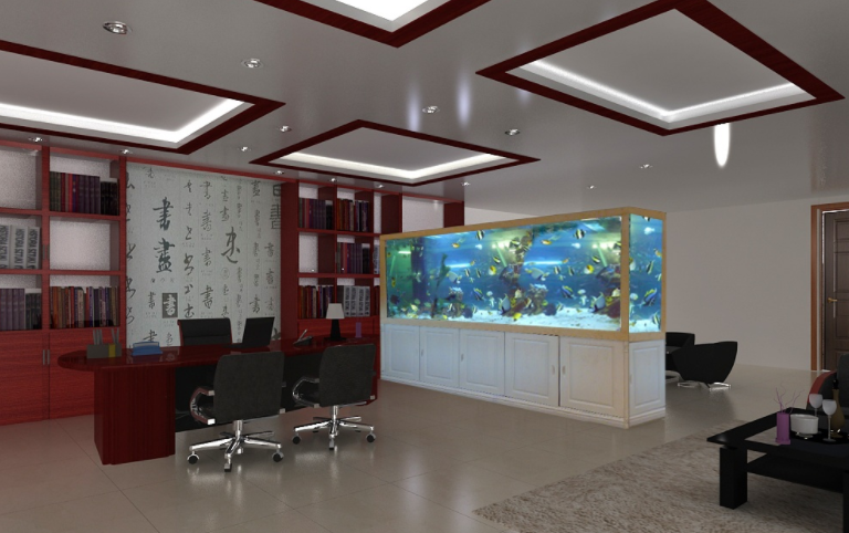 上海老板喜欢办公室装修时设置养鱼池，办公室养鱼风水禁忌有哪些?