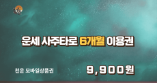 천운 - 6개월 무료 이용권
